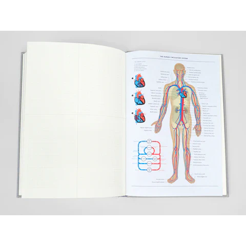 Grids & Guides (Grey): A Notebook for Visual Thinkers - Image 3